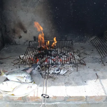 Andrea Vela Luka